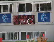 Schmitz Roughan Sparrow CsioArJYR SS7 8086 : CSIO Giovani Arezzo, Roughan Sparrow, Schmitz Edouard, foto Stefano Secchi ©